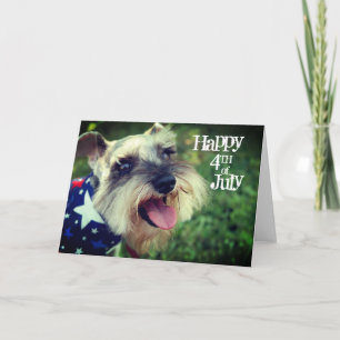 Miniature Schnauzer Lycklig 4:e juli Kort