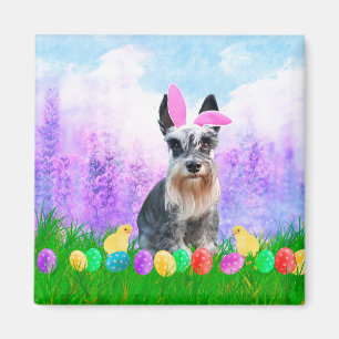 Miniature Schnauzer med Påskägg Bunny Chicks Magnet