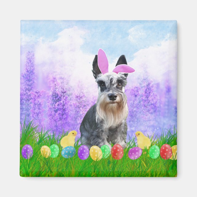 Miniature Schnauzer med Påskägg Bunny Chicks Magnet (Framsidan)