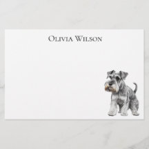 Miniature Schnauzer on anpassningsbar stationary |