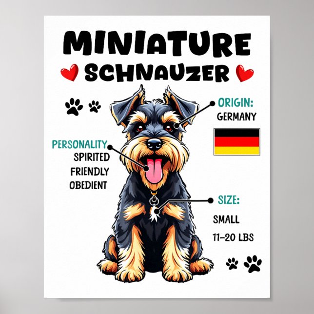 Miniature Schnauzer Owner Funny Mini Schnauzer Lov Poster (Framsidan)