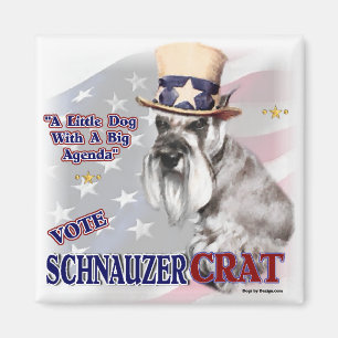 Miniature Schnauzer-presenter Magnet