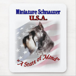 Miniature Schnauzer-presenter Musmatta