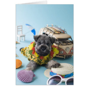 Miniature Schnauzer Puppy and Summer Vacation Hälsningskort