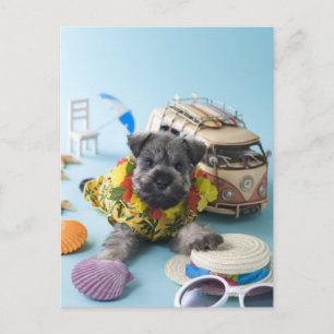 Miniature Schnauzer Puppy and Summer Vacation Vykort
