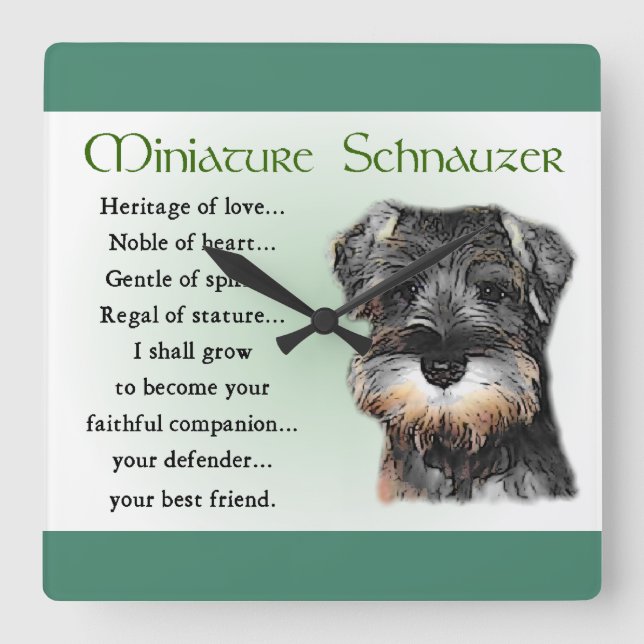 Miniature Schnauzer Puppy Heritage Gifts Fyrkantig Klocka (Framsida)