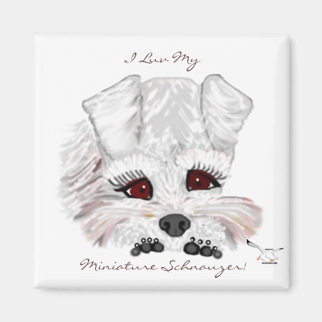 Miniature Schnauzer Puppy Magnet (Framsidan)