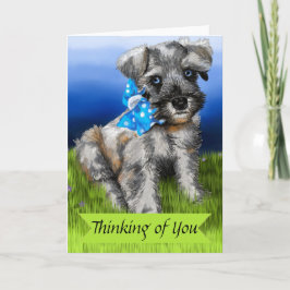 Miniature Schnauzer Puppy Thinking of You Kort