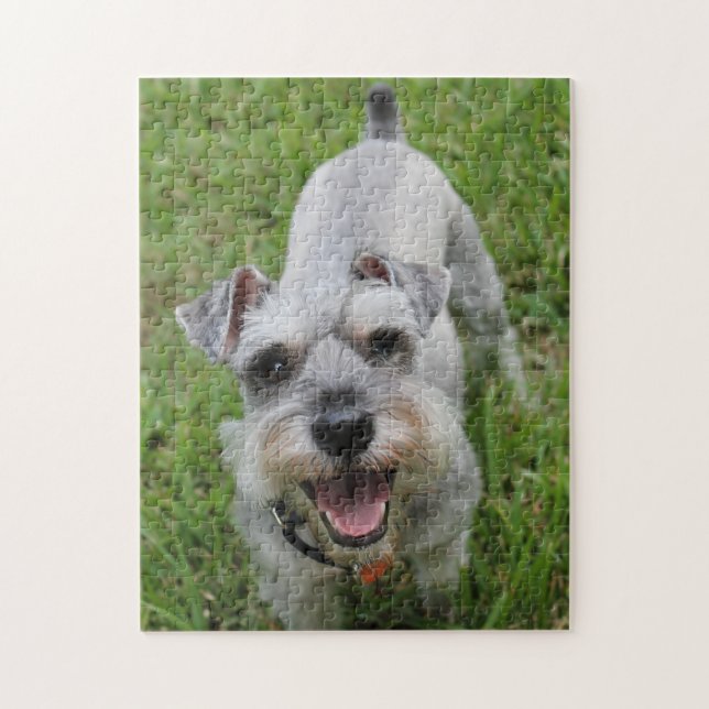 Miniature Schnauzer Smiling Pussel (Vertikal)