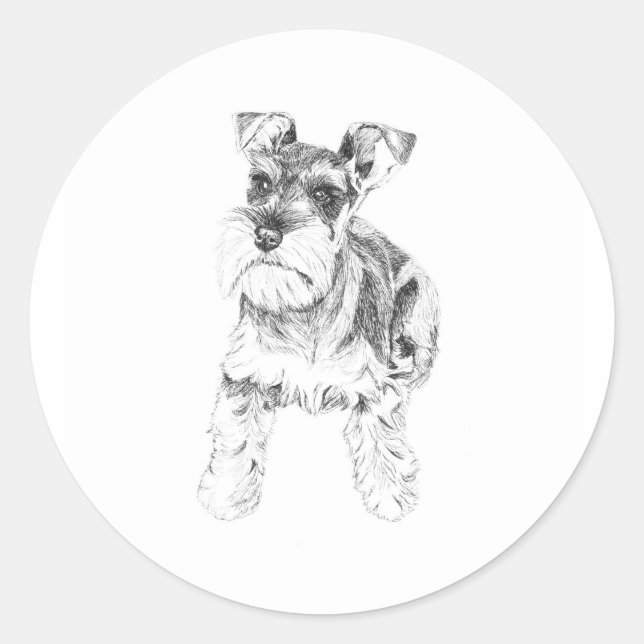 Miniature Schnauzer Sticker Runt Klistermärke (Framsida)