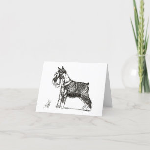 MINIATURE SCHNAUZER TACK KORT