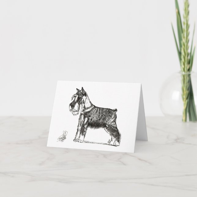 MINIATURE SCHNAUZER TACK KORT (Framsida)