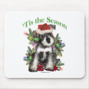Miniature Schnauzer "Tis Musmatta