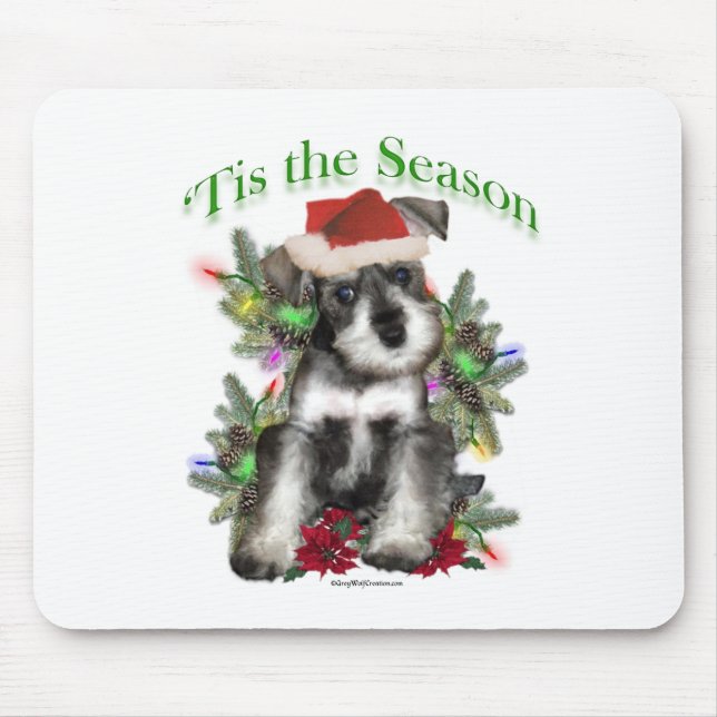 Miniature Schnauzer "Tis Musmatta (Framsidan)