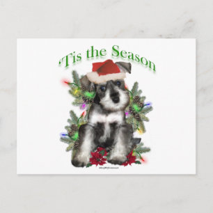 Miniature Schnauzer "Tis Vykort