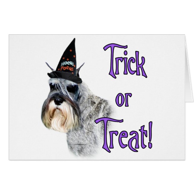 Miniature Schnauzer Trick Hälsningskort (Framsidan Horizontal)