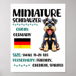Miniature Schnauzer Ursprung Rolig Mini Schnauzer Poster