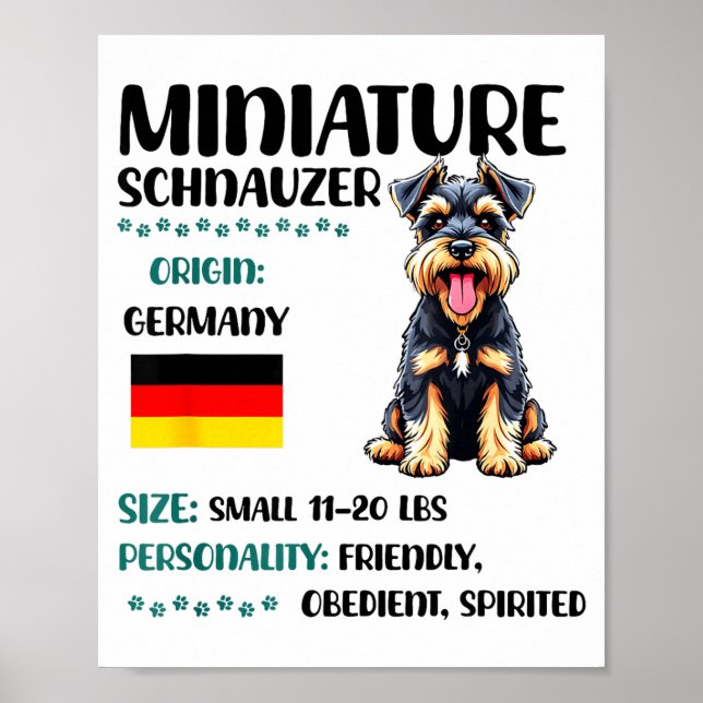 Miniature Schnauzer Ursprung Rolig Mini Schnauzer  Poster (Framsidan)
