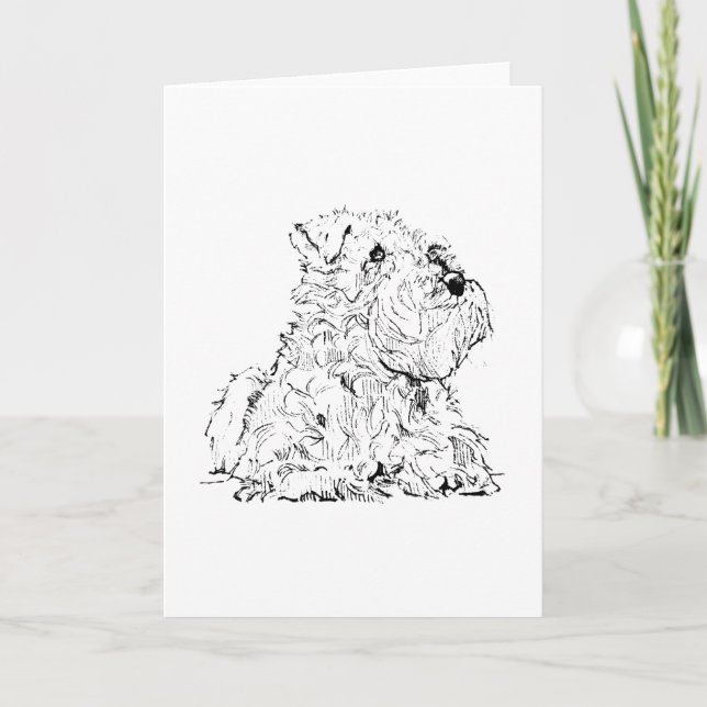 Miniature Schnauzer Välkomstkort Hundillustration Tack Kort (Framsida)