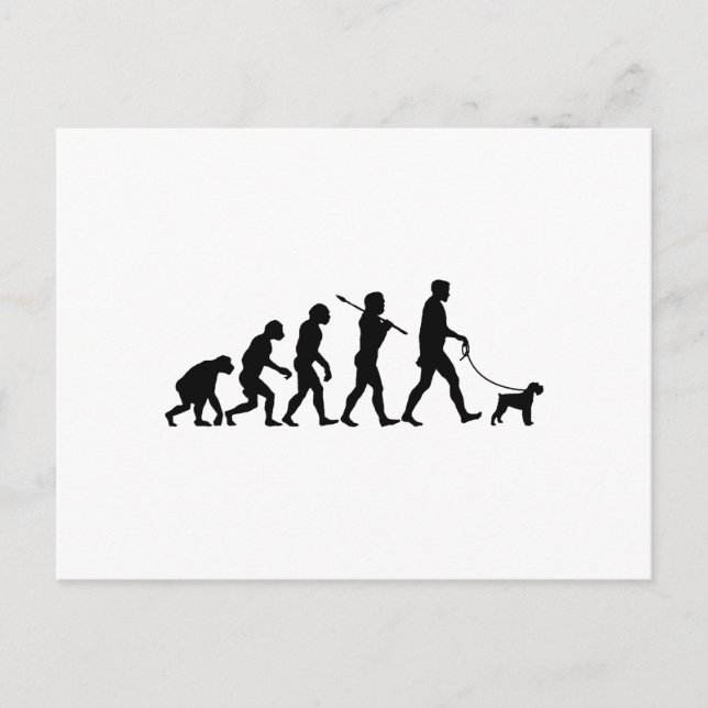 Miniature Schnauzer Vykort (Framsida)