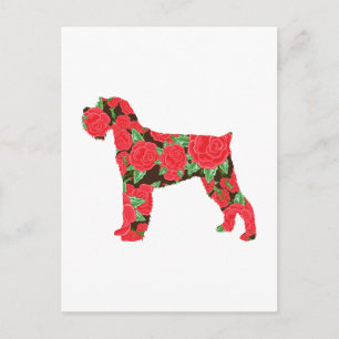 Miniature Schnauzer Vykort