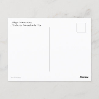 Miniature Trolly Vykort