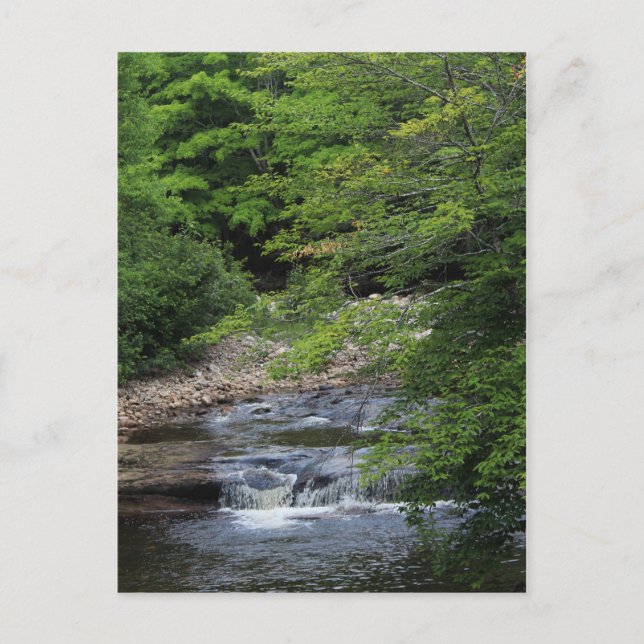 Miniature Waterfall Vykort (Framsida)