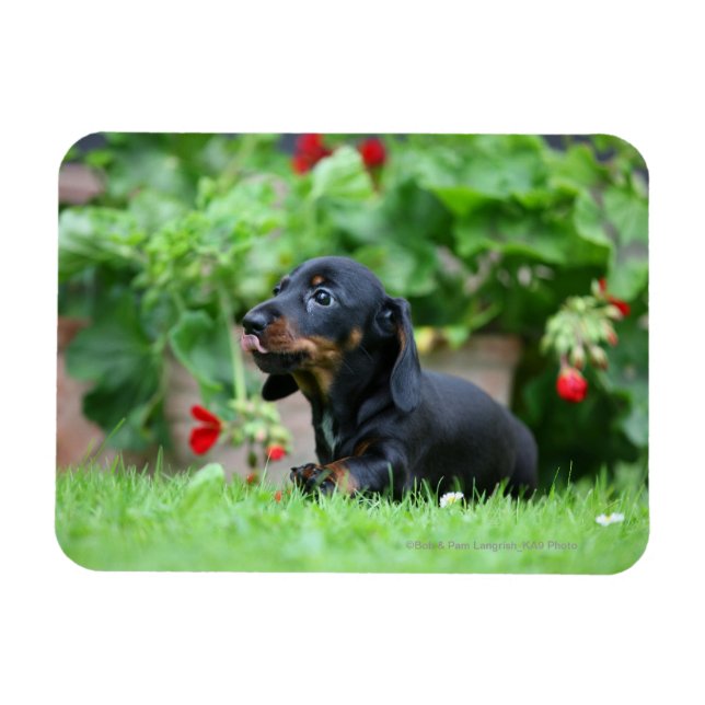 Miniatyr 1 med mjuka hörn magnet (Horisontell)