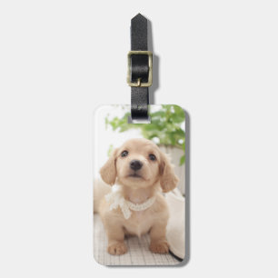 Miniatyr Dachshund Bagagebricka