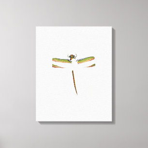 Miniatyr Dragonfly på vit bakgrund Canvastryck