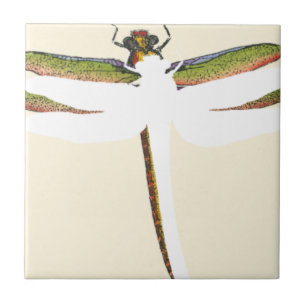 Miniatyr Dragonfly på vit bakgrund Kakelplatta