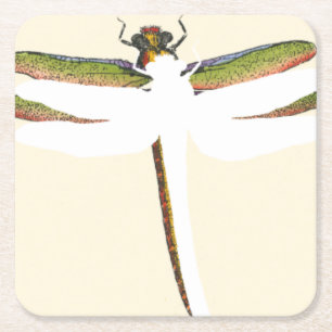 Miniatyr Dragonfly på vit bakgrund Underlägg Papper Kvadrat