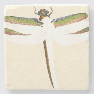 Miniatyr Dragonfly på vit bakgrund Underlägg Sten