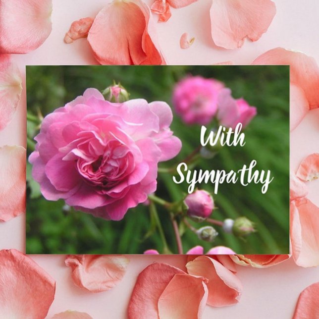 Miniatyr för stora teckensnittssymboler i Rosa ros Kort (Skapare uppladdad)
