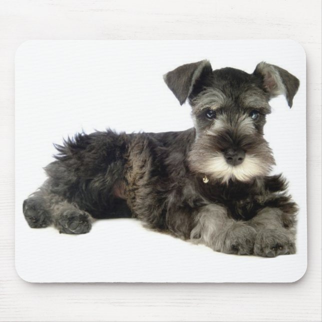 Miniatyr Grått Schnauzer Puppy Hund Mus Pad Musmatta (Framsidan)