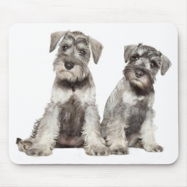 Miniatyr Grått Schnauzer Puppy Hund Mus Pad Musmatta (Framsidan)