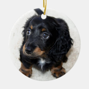Miniatyr långa Haired Dashund Julgransprydnad Keramik