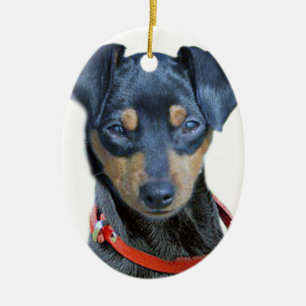 Miniatyr Pinscher Black Puppy Julgransprydnad Keramik