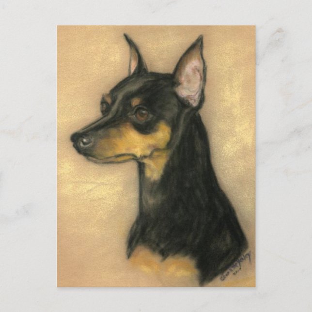 Miniatyr Pinscher Hund Art Postcard Vykort (Framsida)