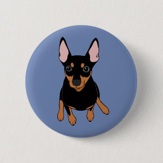 Miniatyr Pinscher Min Pin, standardrundknapp Knapp