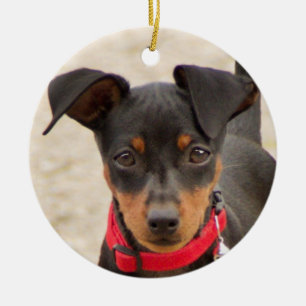 miniatyr-pinscher-svart och rost julgransprydnad keramik