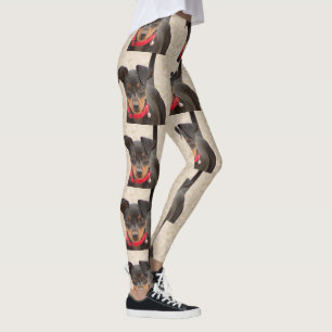 miniatyr-pinscher-svart och rost leggings