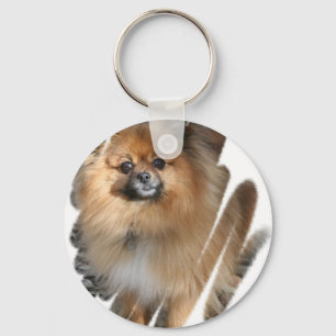Miniatyr Pomeranian Keychain Nyckelring