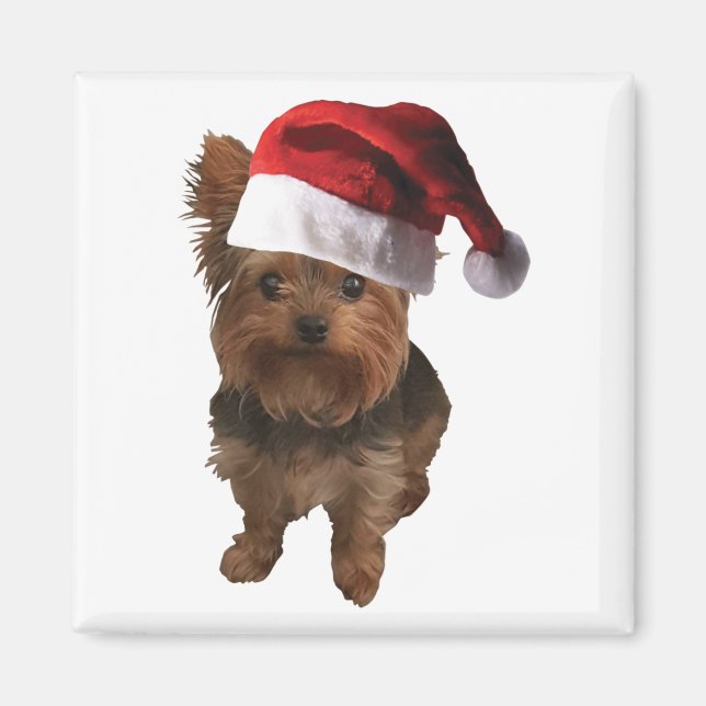 miniatyr_Santa Hat Yorkie Magnet (Framsidan)