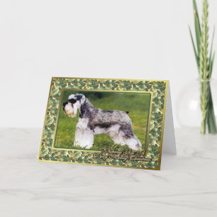 Miniatyr Schnauzer Hund Blank julkort Helgkort