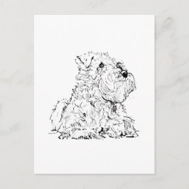 Miniatyr Schnauzer postkort – Hundillustration Vykort