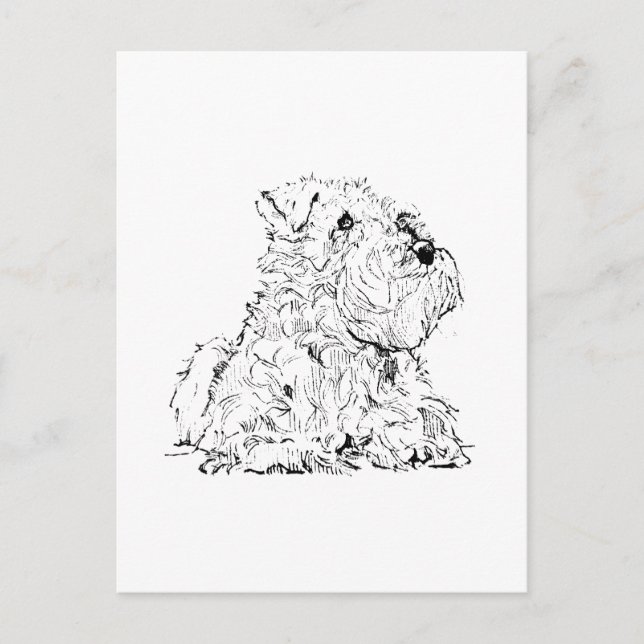 Miniatyr Schnauzer postkort – Hundillustration Vykort (Framsida)