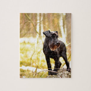 miniatyr-schnauzer pussel