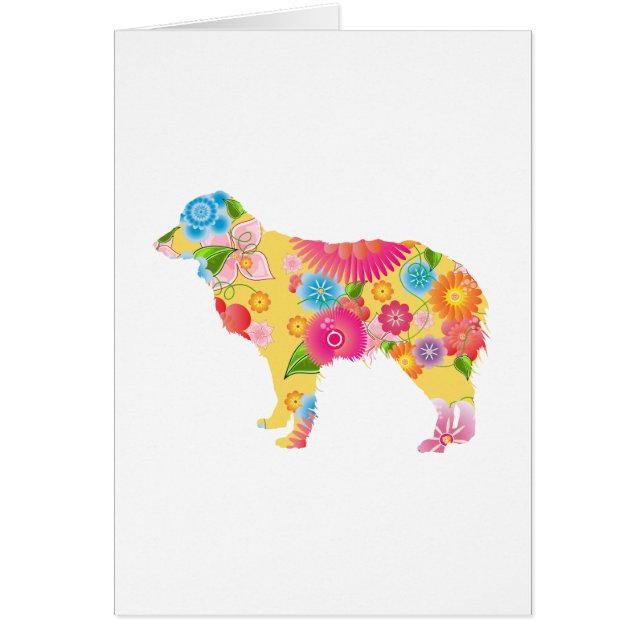 Miniatyraustralian shepherd hälsningskort (Framsidan)