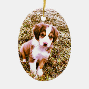Miniatyraustralian shepherd! Mini- Aussie valp! Julgransprydnad Keramik